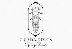 member cicada