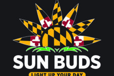 Photo of Sun Buds Photo of Sun Buds
